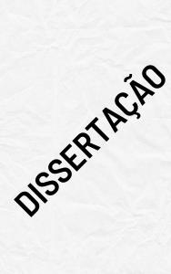 A gênese das primeiras escolas no Departamento Geral de Ações Socioeducativas do Rio de Janeiro (DEGASE/RJ) : uma escolarização sui-generis (1994-2001) 