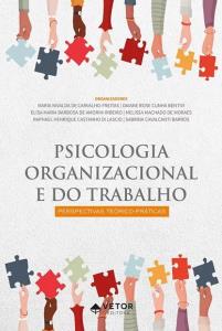 Psicologia organizacional e do trabalho : perspectivas teórico-práticas