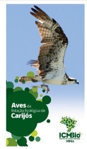 Aves da Estação Ecológica de Carijós
