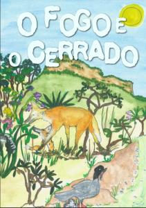 O fogo e o cerrado