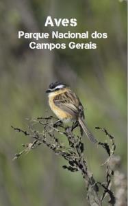Aves : Parque Nacional dos Campos Gerais