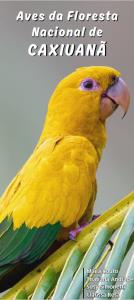 Aves da Floresta Nacional de Caxiuanã