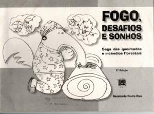 Fogo, desafios e sonhos : saga das queimadas e incêndios florestais