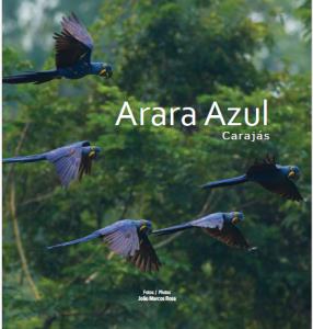 Arara azul : Carajás