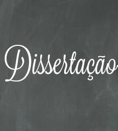 Referência e contrarreferência : compreensões e práticas